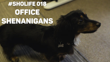 #SHOLIFE 018 | Office Shenanigans